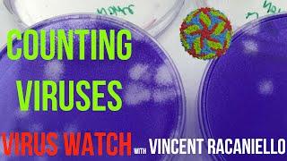 Virus Watch: Counting Viruses