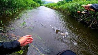 【渓流ルアー】小さい魚を荒食いしてる、大きい魚を釣ります。