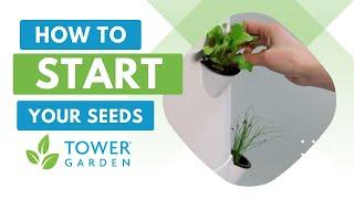 Start Seeds and Transplant Seedlings on Your Tower Garden®