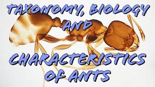 Taxonomy, Biology, and Characteristics of ants