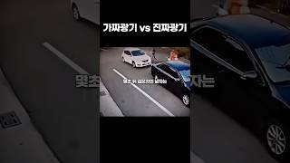 가짜 광기 VS 진짜 광기