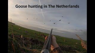 Goose hunting in The Netherlands! First video of Dutch Hunter. Hunting with Browning and Beretta.