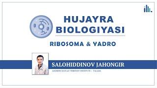 Ribosoma & Yadro