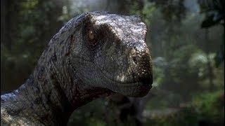 Velociraptor - One Of The Most Intelligent Dinosaurs That Ever Existed! / Documentary (English/HD)