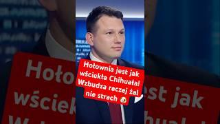 Mentzen o Hołowni: Widzę w nim przerażoną Chihuahua