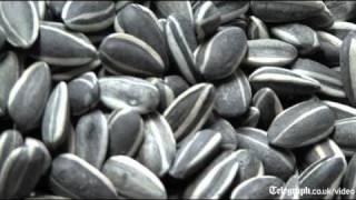 Ai Weiwei's Sunflower seeds at the Tate