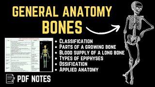 General Anatomy - Bones | For PDF Notes, Check Description Box