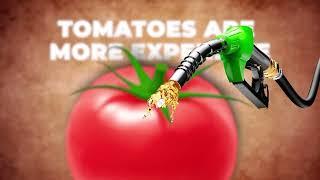 Tomato price hike in India - Can you invest in Agriculture