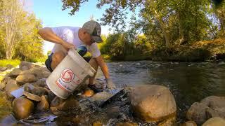 Digging Deeper for Gold - Prospecting on Kern River (9-18-18)