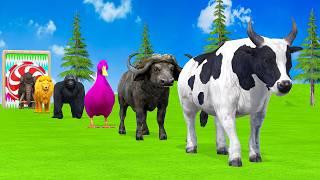 Paint & Animals Duck,Gorilla,Lion,Elephant,Cow,Sheep Fountain Crossing Transformation Animal Cartoon