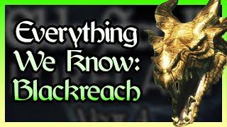 Blackreach is BIGGER & OLDER Than You Know