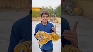 Cute Tigar Crying ️|