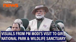 PM Modi visits Gir National Park and Wildlife Sanctuary in Gujarat