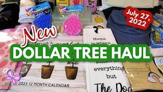 Fun DOLLAR TREE HAUL!  New Finds!  July 27, 2022 #LeighsHome