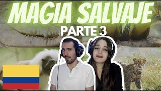 REACCIONANDO A: MAGIA SALVAJE PARTE 3, COLOMBIA  *UN CAPITULO DURO* 