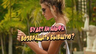 Будет ли сигма (альфа) возвращать бывшую?