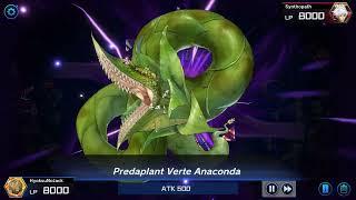 Predaplant Verte Anaconda Summoning Animation  Master Duel