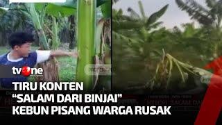 Tiru Konten "Salam Dari Binjai" Anak-anak Rusak Pohon Pisang | Kabar petang tvOne