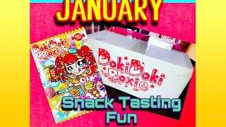 DokiDoki Boxie Snack Tasting Fun January 2017