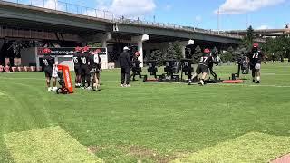 Bengals DL work sled punch drills Tuesday on first day of OTAs