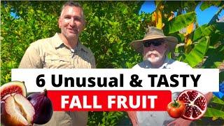 Grow These 6 Unusual Fall Fruits in Your Backyard! | With Fruit Tree Expert: Tom Spellman