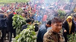 Enchanter With Nettle Festival.||Lukum Rukum||#SILONEPAL