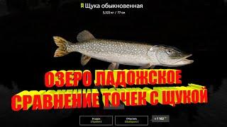 Русская рыбалка 4(рр4/rf4) - Озеро Ладожское, сравнение точек с Щукой!!!