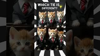 Discovering the Odd One Out: Which Tie is Different? TheQuiz007