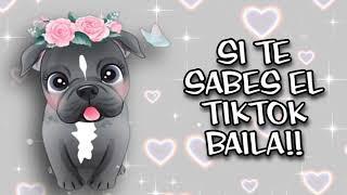 Si Te Sabes El TikTok Baila! - 2021