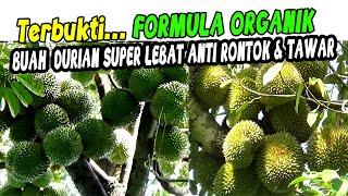 TERBUKTI‼️ Pasti Panen DURIAN  Anti Tawar & Buah Lebat Dengan Dua Formula Organik ini