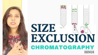 Size Exclusion Chromatography | Lab Procedure
