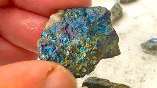 Beach Rockhounding Adventure for Chalcopyrite