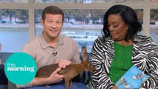 Adam Henson Brings The Joys Of Nature To The Studio | This Morning