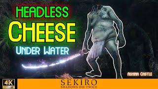 BEST Underwater HEADLESS CHEESE | Sekiro