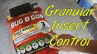 Granular insect control in the lawn