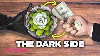 The Dark Side Of Our Succulent Obsession - Cheddar Explains