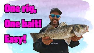 How to Catch Bass **Mega Easy**