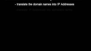 Understand DNS Basics In 50 Seconds