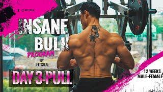 INSANE BULK "DAY 3- PULL"- 12 weeks Muscle Building Program [FREE] Designed By Jeet Selal