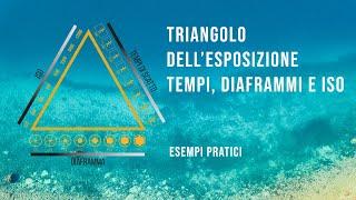 Triangolo dell'esposizione - Tempi di scatto, diaframma e ISO con esempi