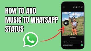 How to Add Music To WhatsApp Status?