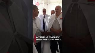 Аграрий не побоялся возразить Лукашенко! (Архив) #shorts #лукашенко #новости #политика #беларусь