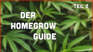 DER INDOOR-GROW GUIDE 2024 - Folge 2 - DIE RICHTIGE GROWBOX