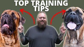 3 TIPS FOR TRAINING YOUR BULLMASTIFF