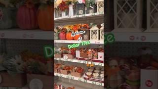 2024 Dollar Tree Fall Decor  is Here!  #decor #autumn