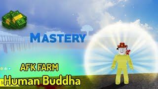 How to AFK Farm With Human: Buddha - Blox Fruit Tutorial