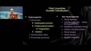 Congenital Anomalies of Kidney & Urinary Tract on Tuesday 7th April, 2020