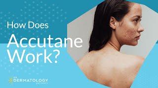 How Does Accutane Work?