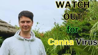 Watch out for Canna Virus