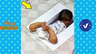 Funny & Hilarious Video People's Happy Life #30  Try Not To Laugh Funny Videos 2024
